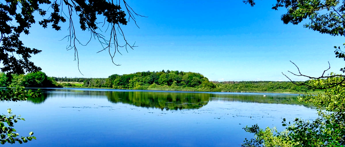 Wanderarrangement Westerwälder Seenplatte im Landgasthof Hotel zur Burg Grenzau