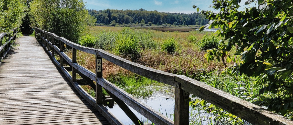 Wandern beim Landgasthof Hotel zur Burg Grenzau